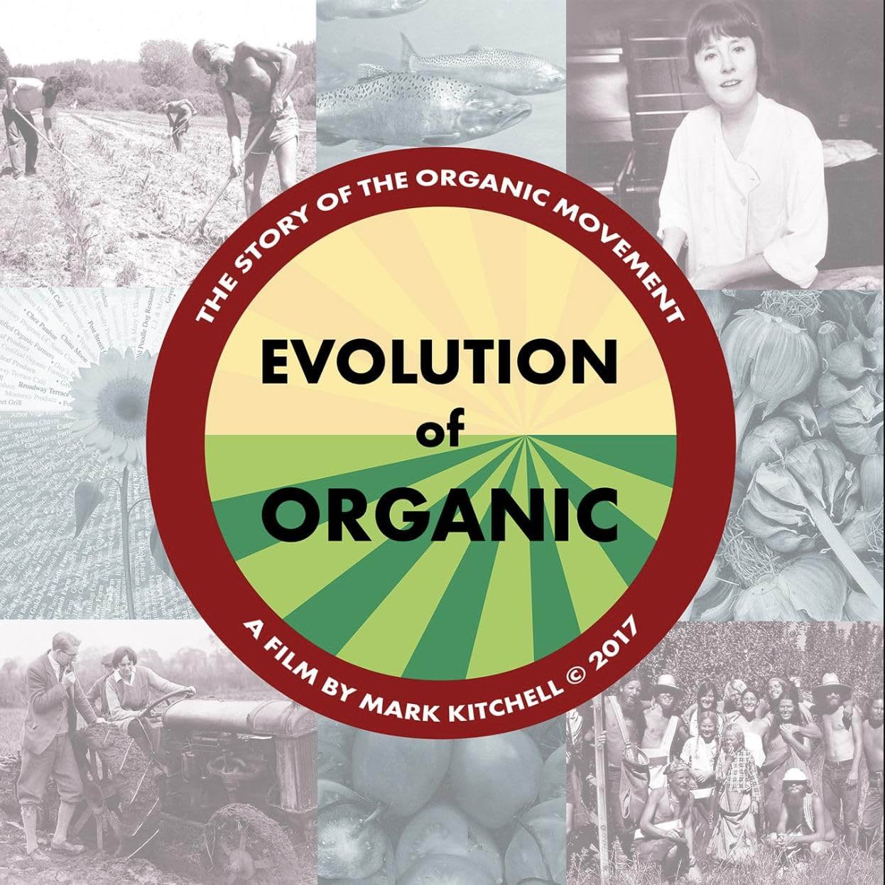     Evolution of Organic